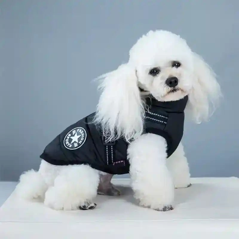 Abrigo Impermeable para Perro Deportivo - Chaleco Acolchado de Invierno