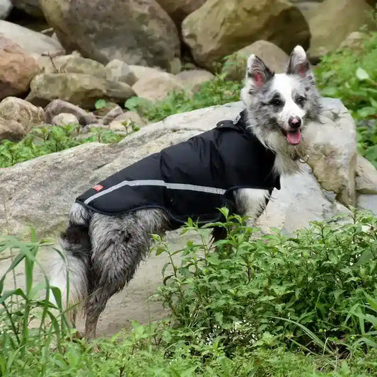 Impermeabile Antipioggia per Cani – Cappotto Riflettente e Leggero by Dog Moda