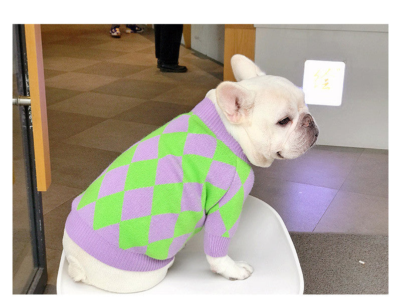 Maglione a Quadri Verdi e Porpora per Bulldog - Dog Moda