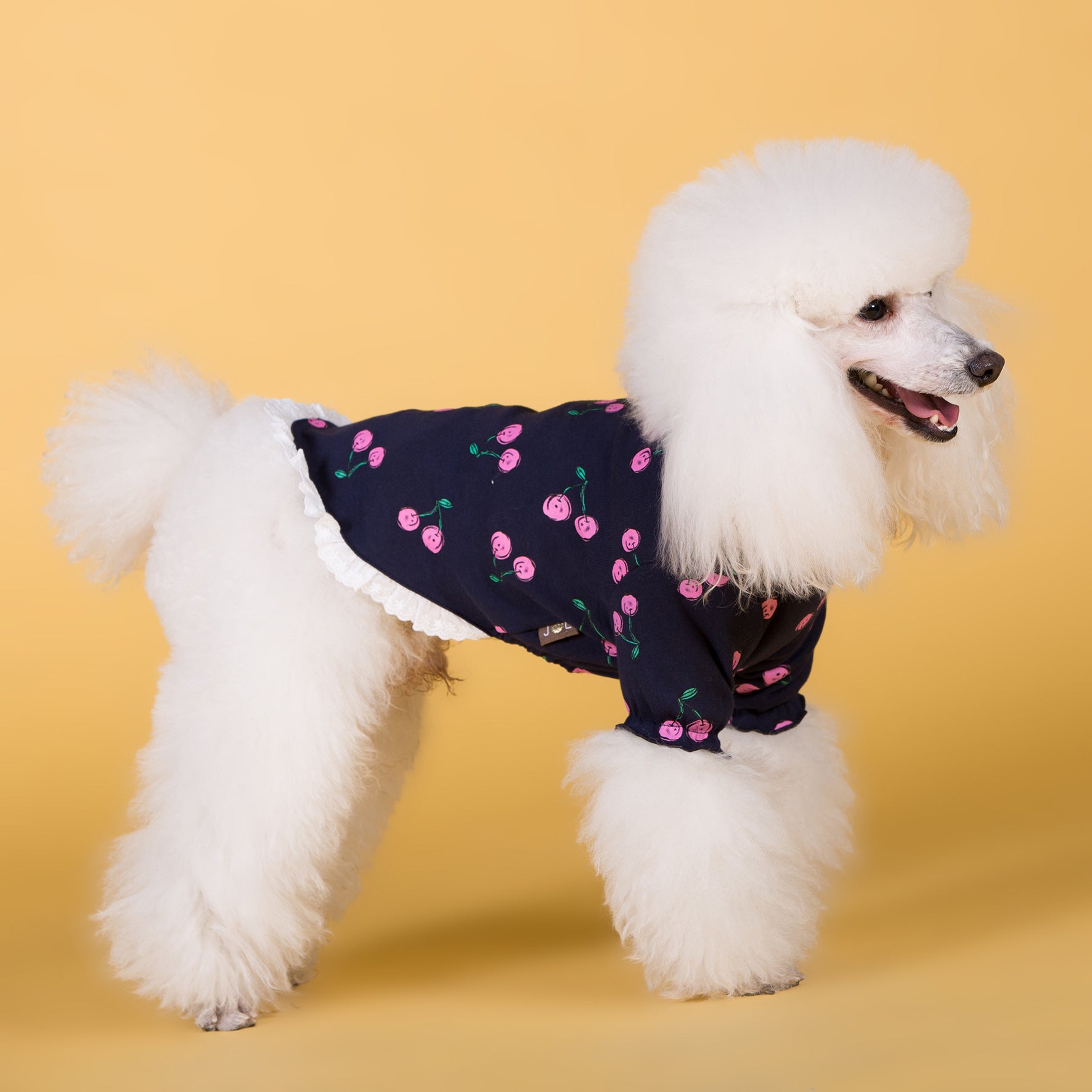 Cherry Print Dog Shirt – Model "Cherry"