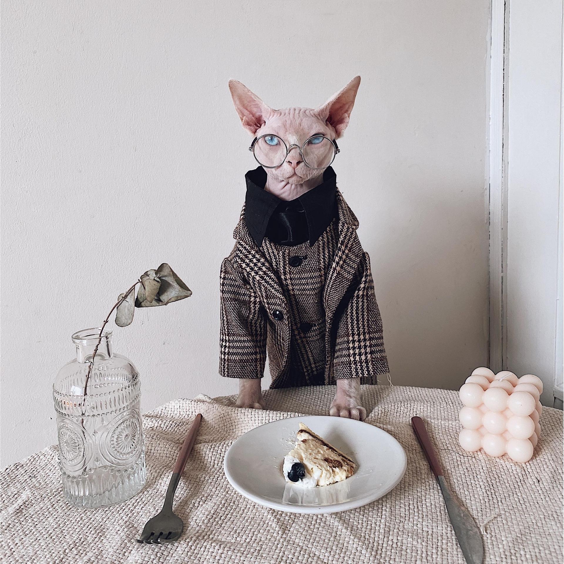 Vestito Elegante per Gatti Sphynx | Completo Giacca e Cravatta | Dogmoda