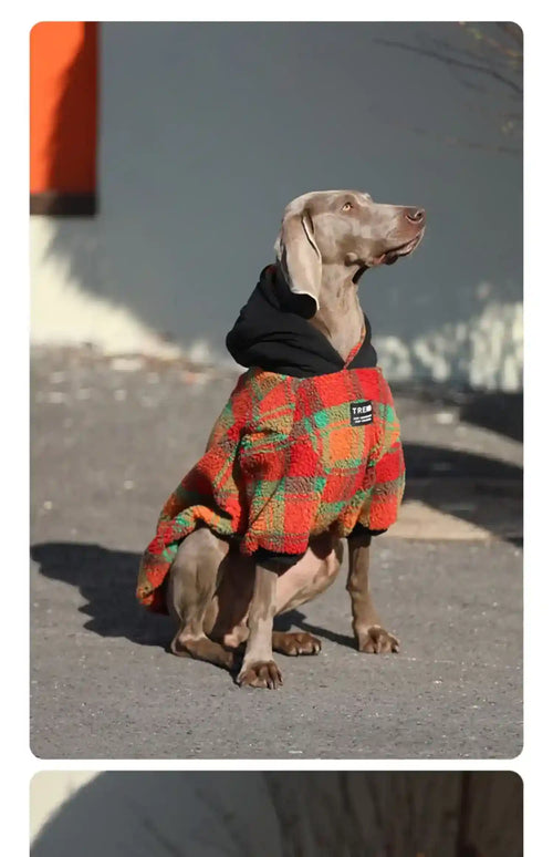 Cappotto per Cani con Cappuccio in Pile Caldo - Imbottito by Dog Moda