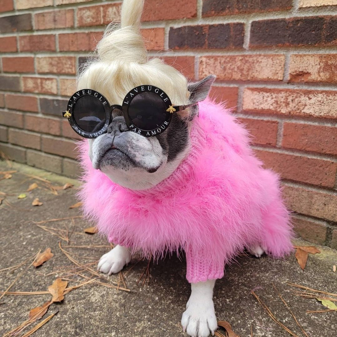 "Glamour" Vaporous Dog Sweater