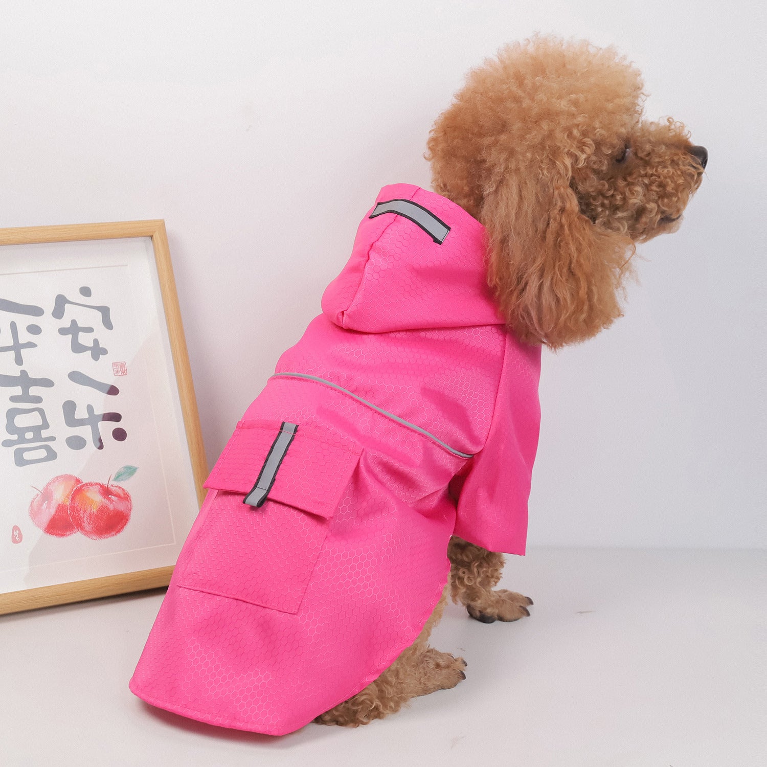 Impermeabile per Cani con Cappuccio | Giacca Antipioggia Cane