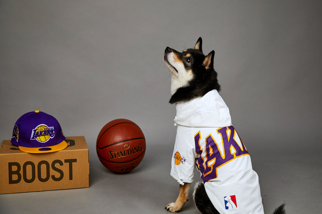 Impermeabile per Cani Lakers con Cappuccio | Giacca Cane Basket