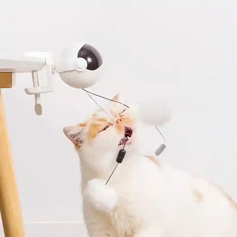 Gioco Interattivo per Gatti con Pallina Pon Pon Elastica by Dog Moda