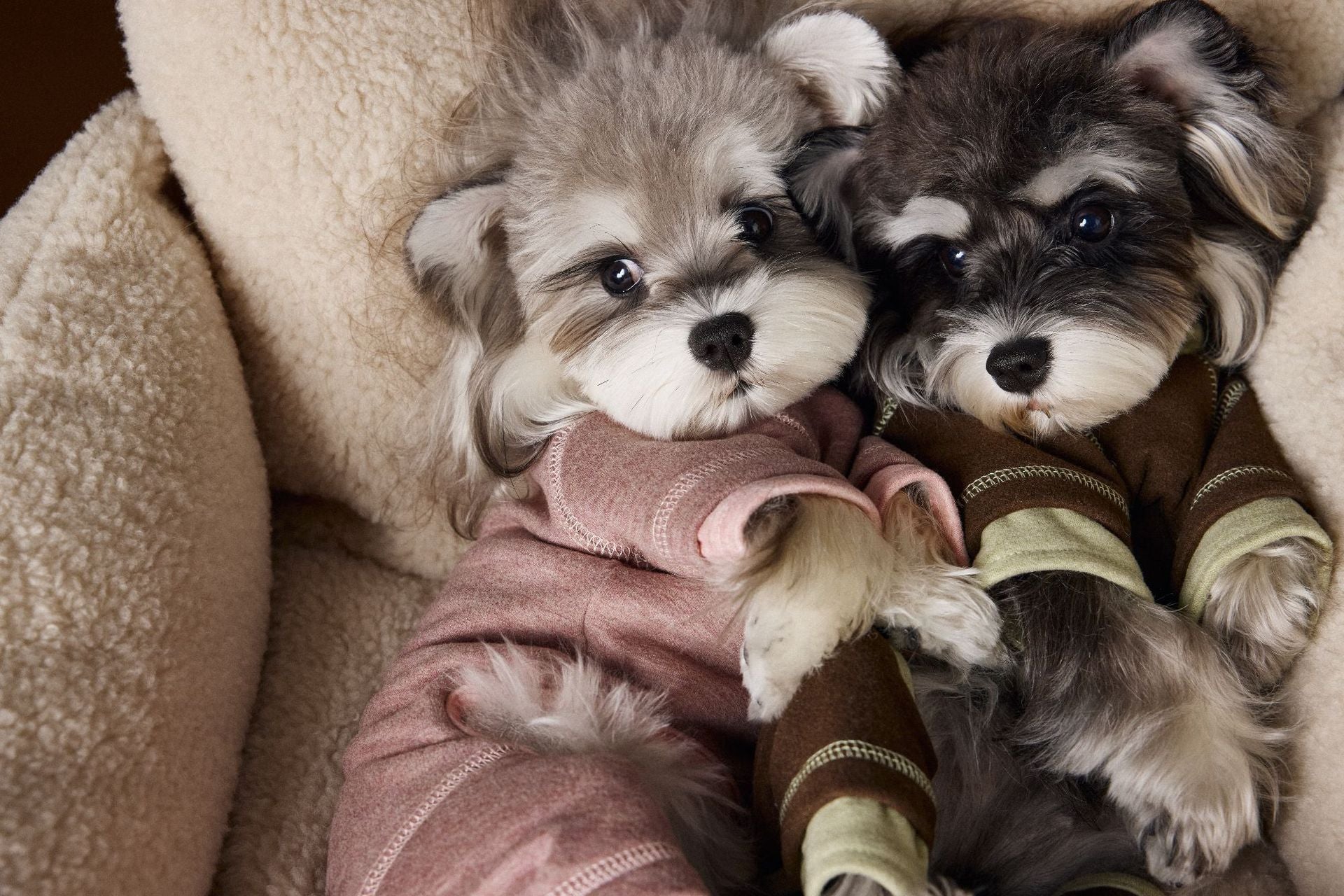 Tawney Bear Dog Onesie - Stretchy Comfort Pajamas