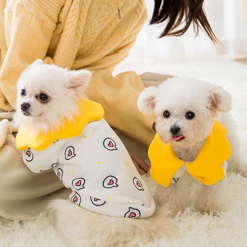 Dog sweater with collar "Shinycat"