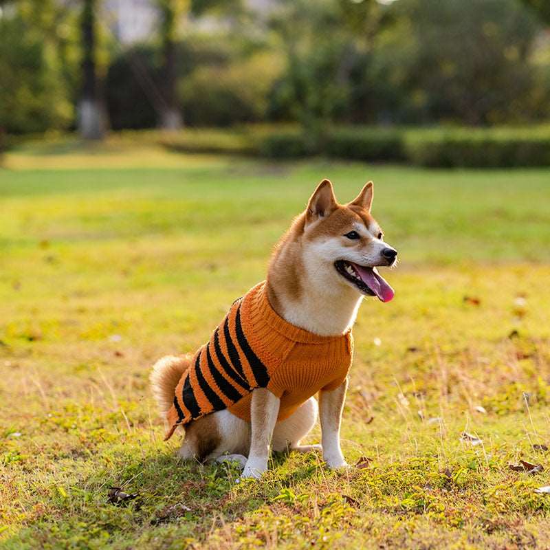 Maglioncino per Cani Halloween a Righe Arancione e Nero con Ricamo di Zucca