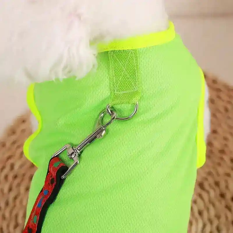 Maglietta per Cani "Lucky Bear" - Vest Smamicato con Anello per Guinzaglio by Dog Moda