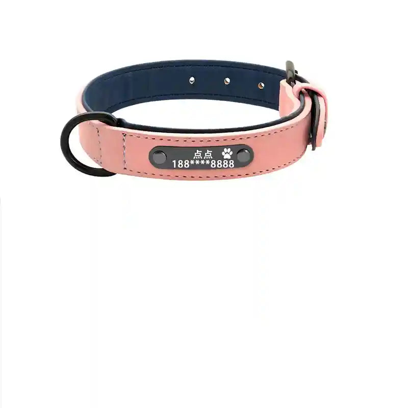 Collare Personalizzato Cani - Nome e Numero Inciso by Dog Moda
