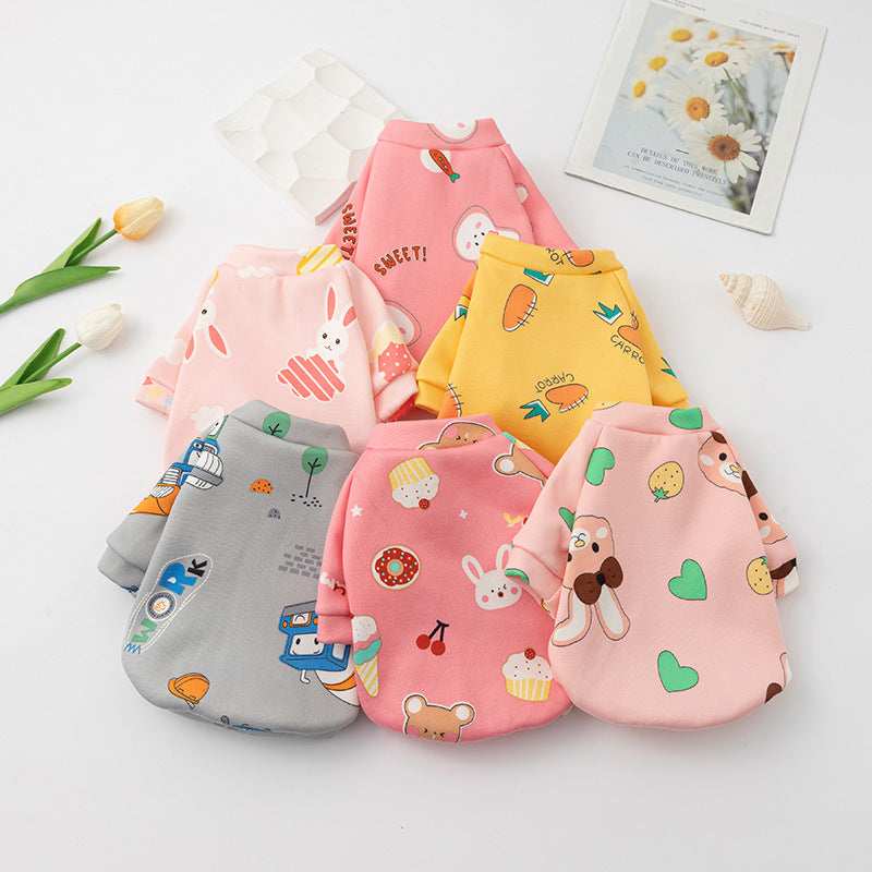 Maglia in Pile Colorata per Cani di Piccola Taglia – Fantasie Vivaci e Allegre - Dog Moda