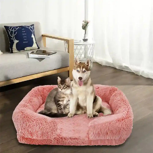 Divano per Cani Soft - Cuccia Morbida per Cani di Tutte le Taglie by null