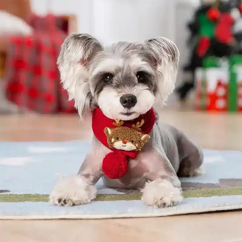 Suéter de Navidad para Perros Copos de Nieve Rojo Verde