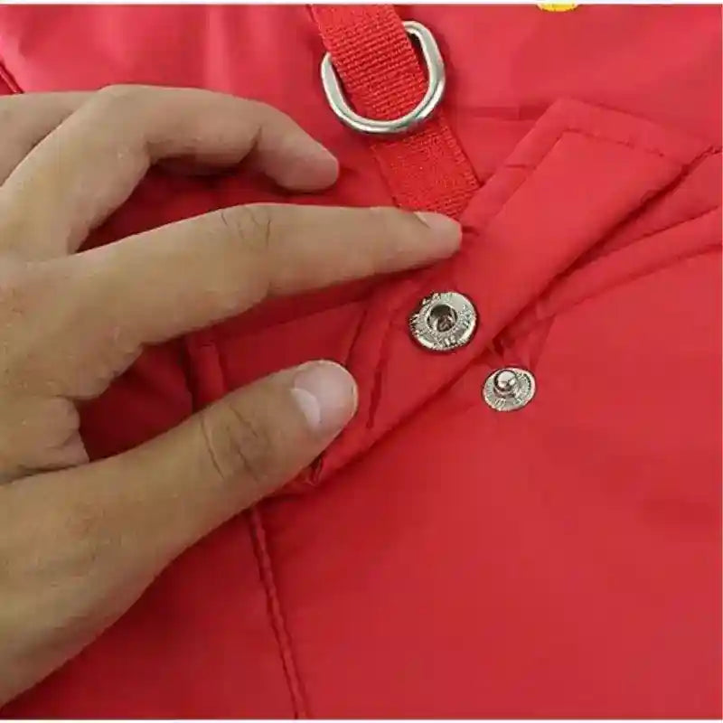Cappotto Invernale per Cani Retriever - Cotone con Pettorina Integrata by Dog Moda