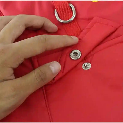 Cappotto Invernale per Cani Retriever - Cotone con Pettorina Integrata by Dog Moda