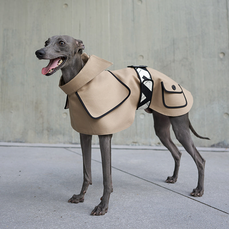 Trench per cani beige stile "Burberry"