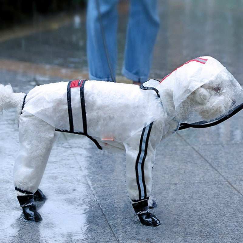 Impermeabile per Cani Trasparente "Limpido" – Eleganza e Protezione in Ogni Passeggiata