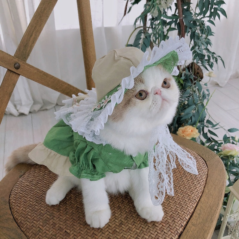 Tyrolean Cat Dress with Hat and Embroidery 🎀