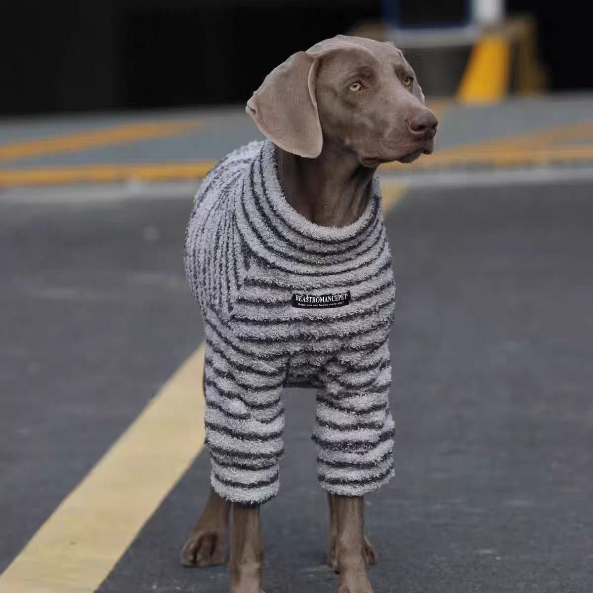 Hondenjas Weimaraner met Strepen - Grote Maten