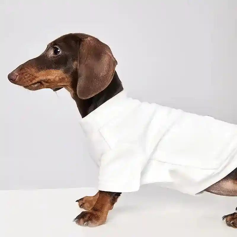 Maglia Tecnica per Cani - Leggera e Traspirante per Tutte le Stagioni by Dog Moda