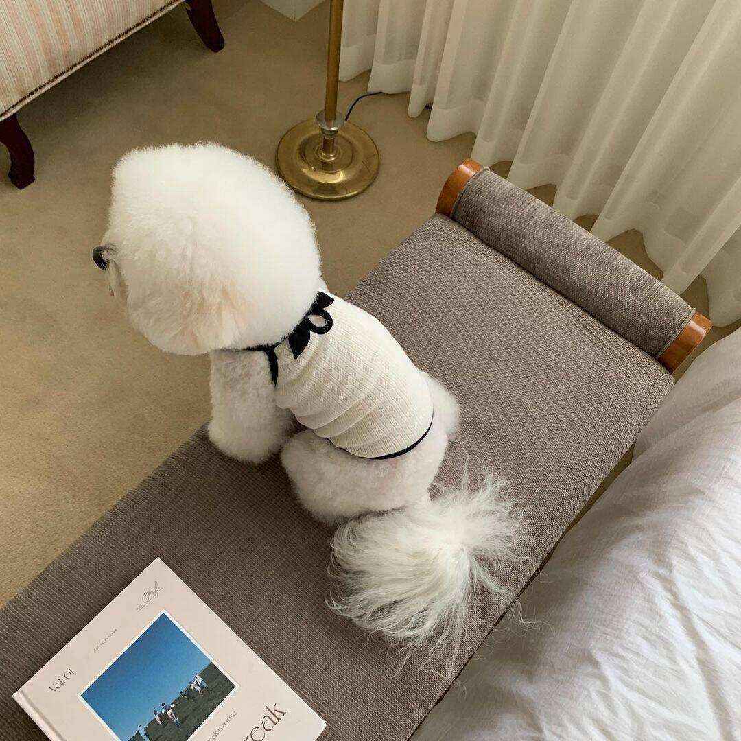 Canotta per Cani con Fiocchetto - Elegante e Comoda by Dog Moda