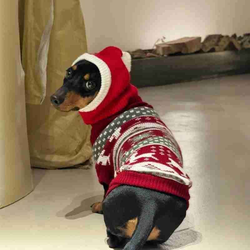 Passamontagna per Cani Natalizio - Cappuccio Rosso Babbo Natale by Dog Moda