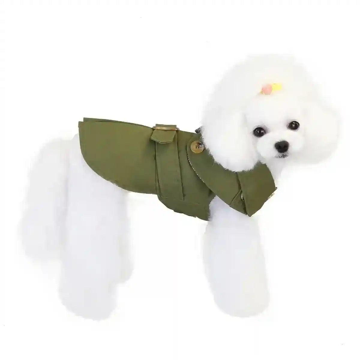 Cappotto leggero elegante per cani piccoli con bottoni e colletto by Dog Moda