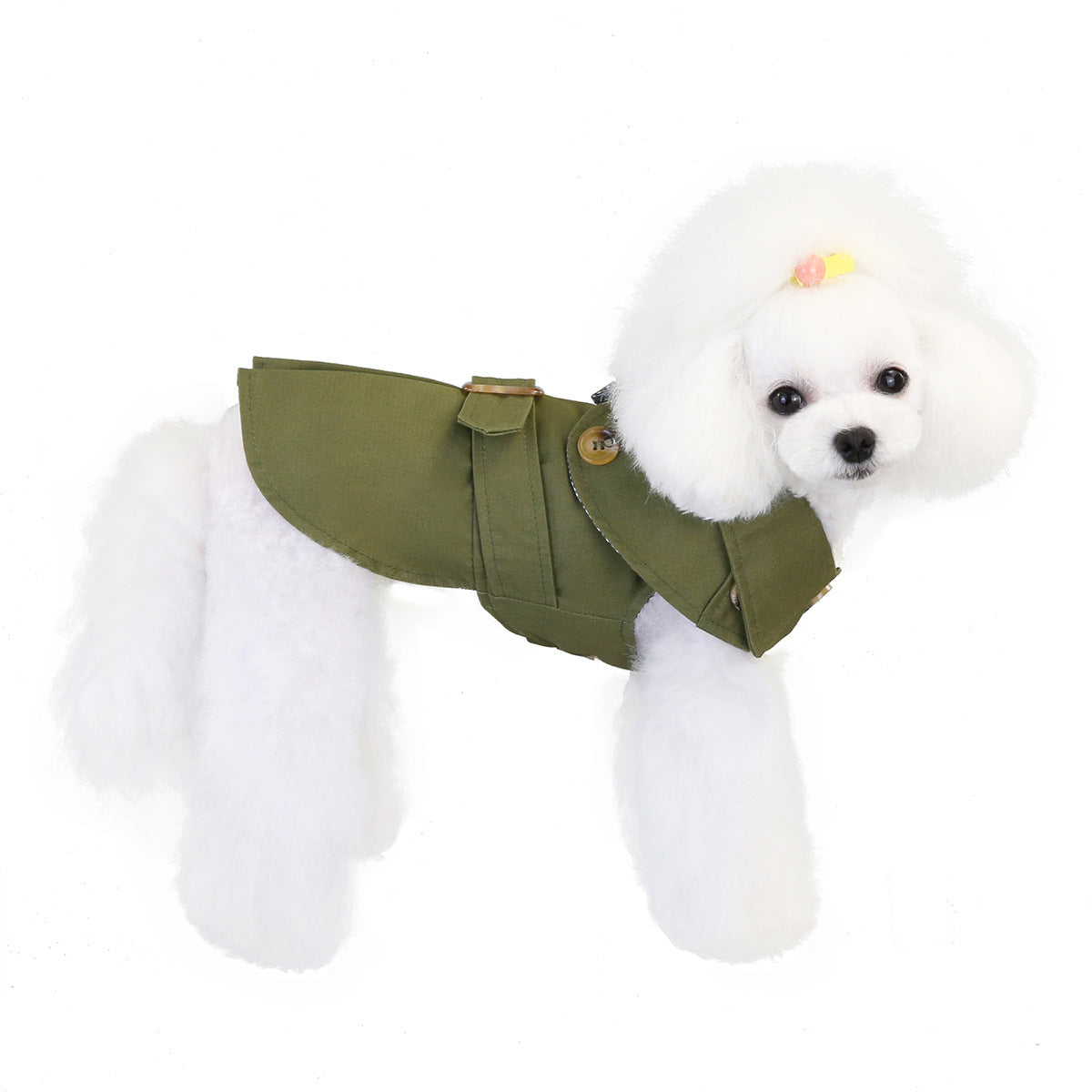 Cappotto leggero elegante per cani piccoli con bottoni e colletto