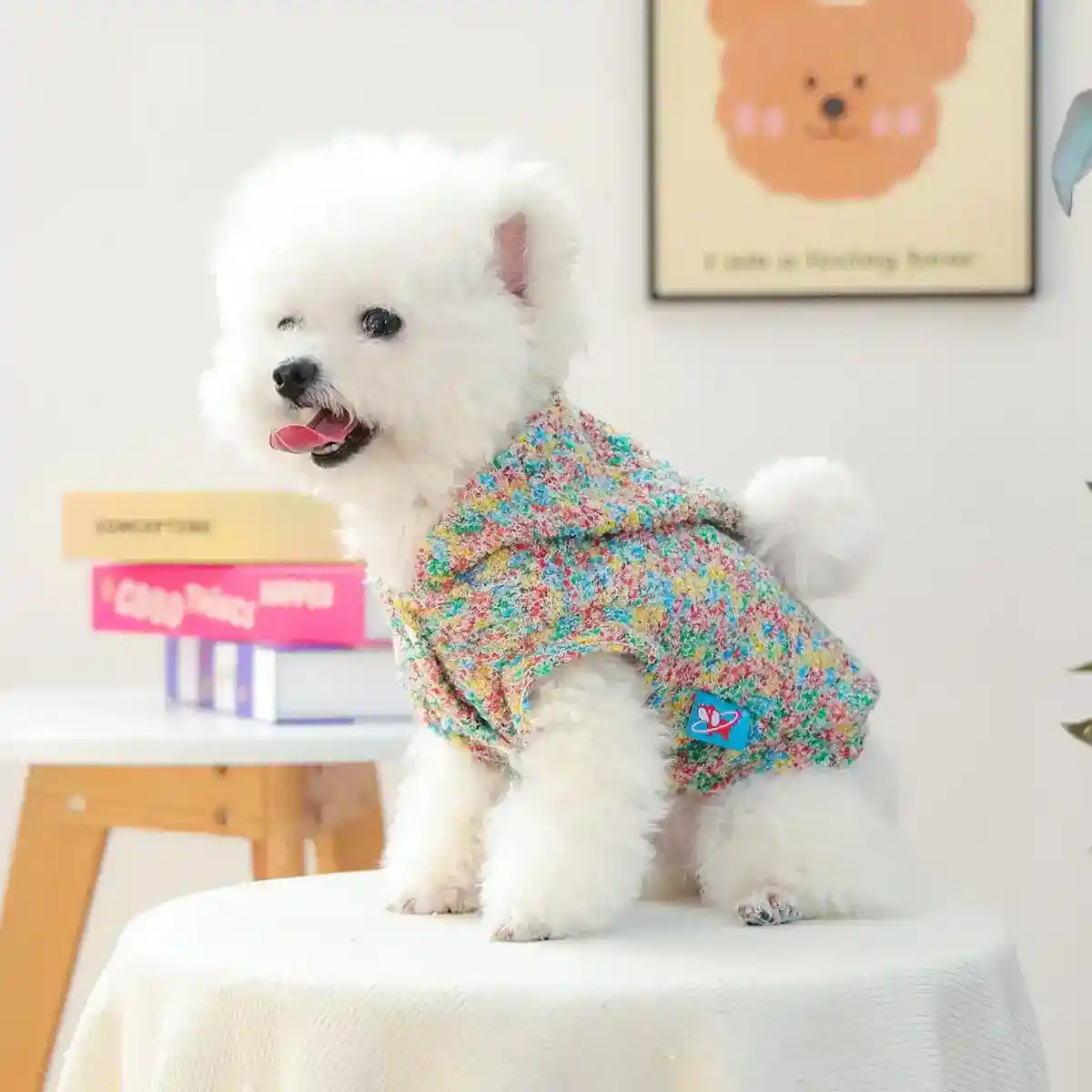 Sudadera con capucha para perros y gatos - Multicolor con pompón