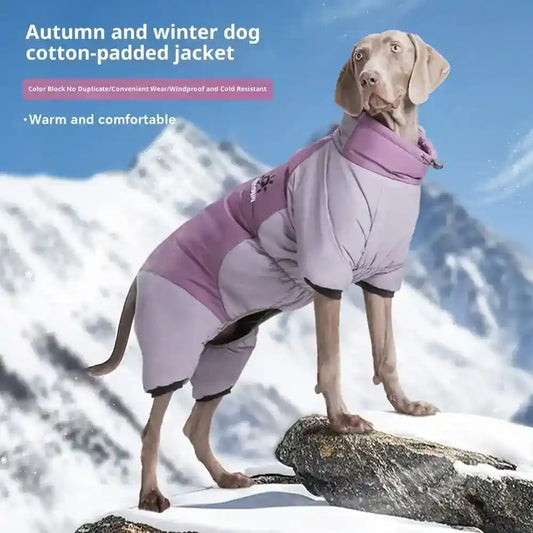 Cappotto Imbottito Cani 4 Zampe DUOMM Impermeabile XL-5XL by Dog Moda