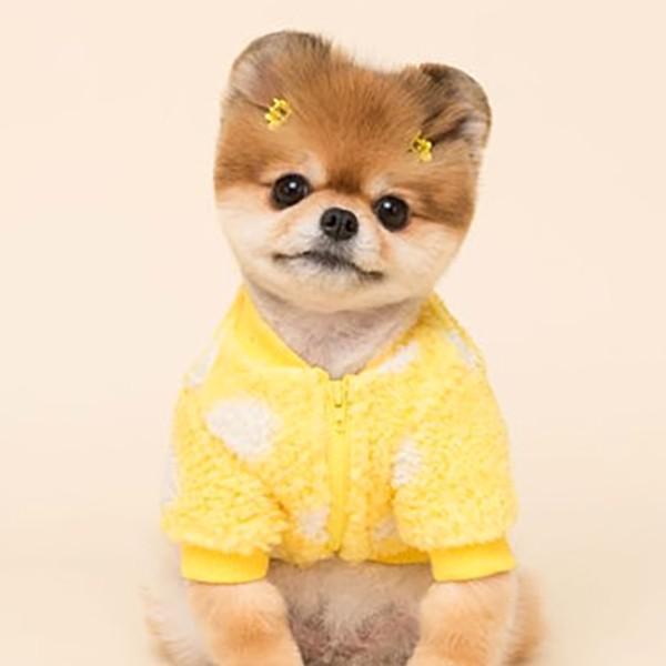 Fleece Coat for Dogs "Pomeranian" Polka Dot Pattern with Abdomen Zip