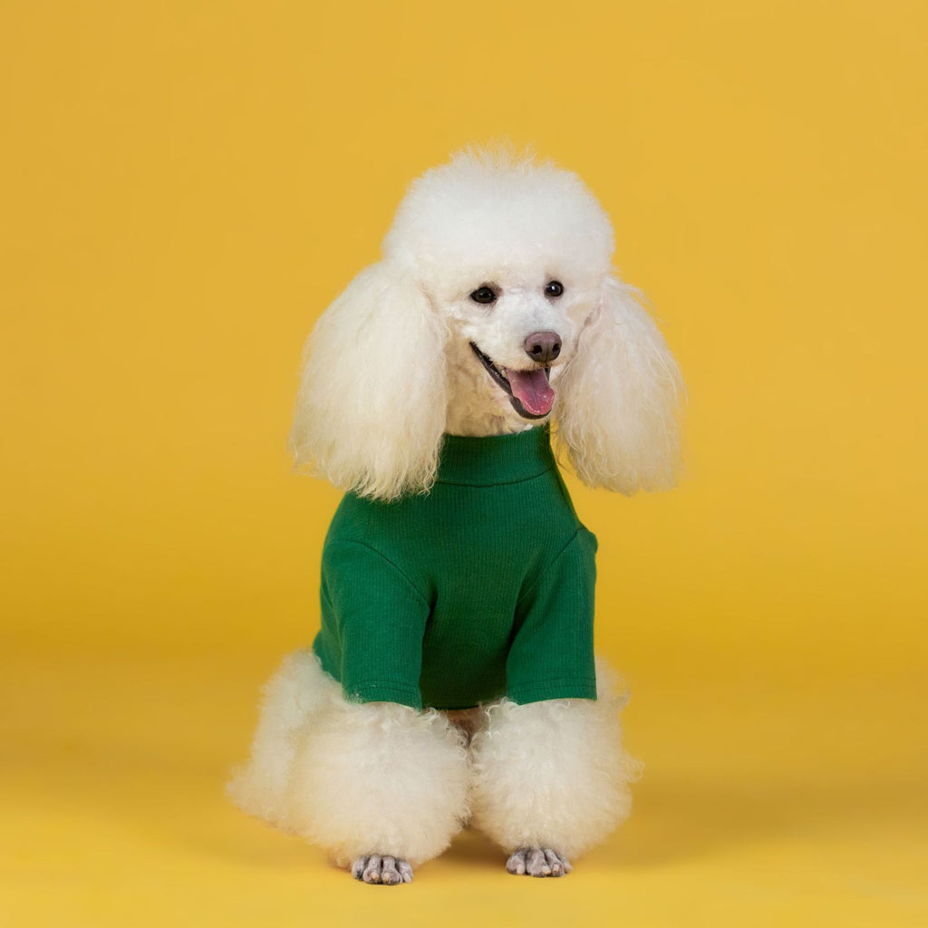 クリスマス犬用トナカイセーター - 赤と緑のコットンスウェットシャツ