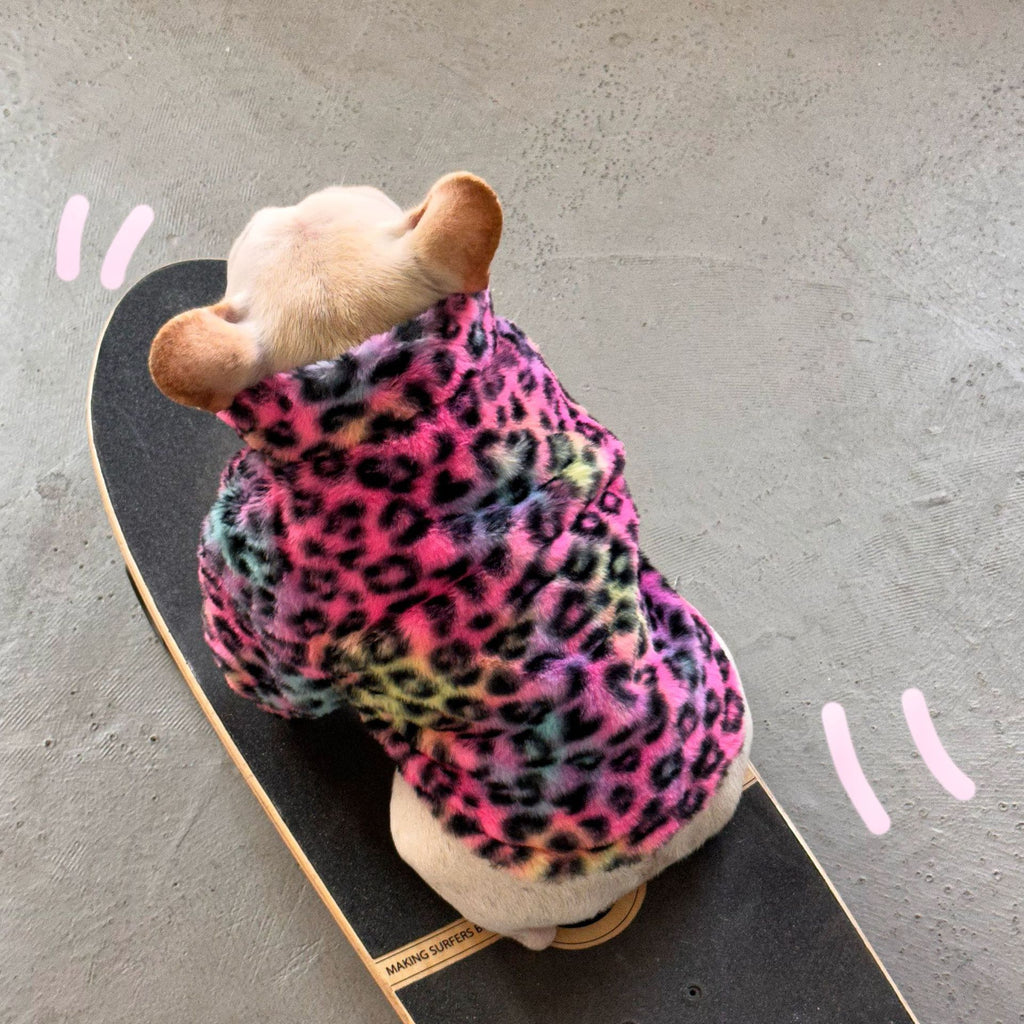 Multicolor Leopard Dog Coat - Velvet Abdomen Zip