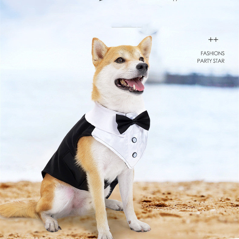 Dog Dress for Weddings and Birthdays Model "Suit"