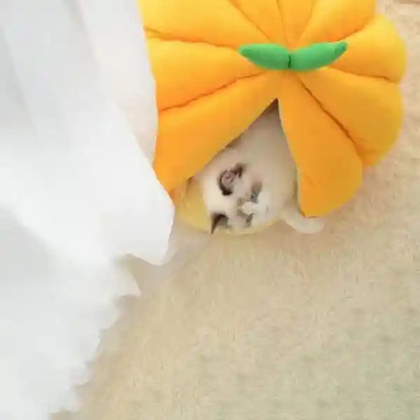 Pumpkin Cave Cat House - Warm and Enclosed