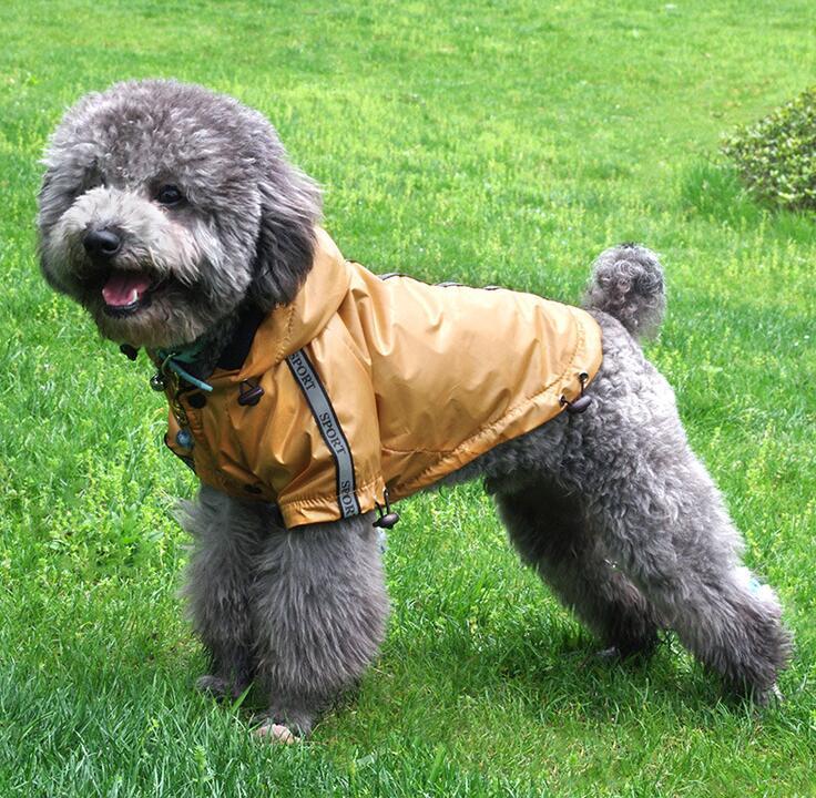 Dog Raincoat "Sports" - Protection and Comfort for Your Faithful Friend
