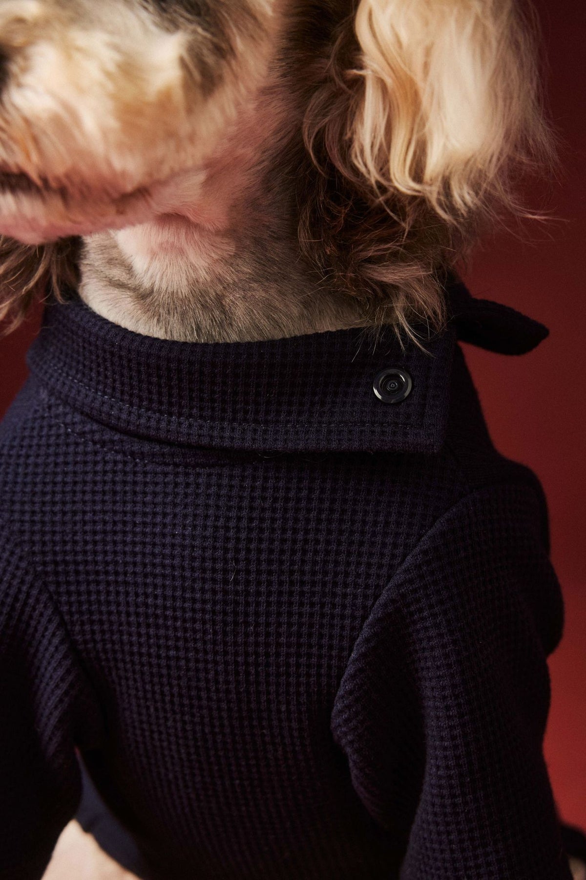 Tutina Cane 4 Zampe Tawney Bear - Pigiama Invernale by Dog Moda