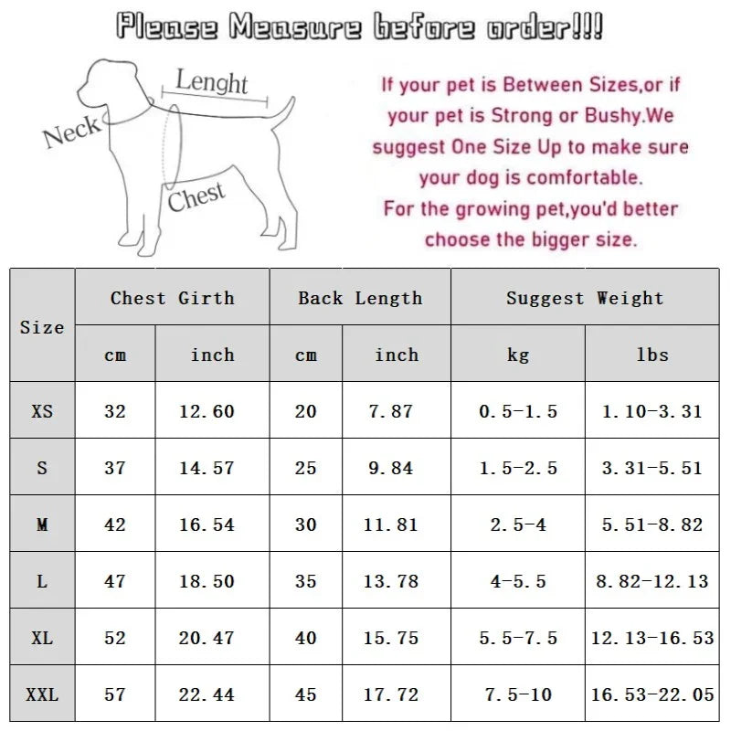 Gilet Lana Agnello Cani Gatti - Panda You Shine Bianco