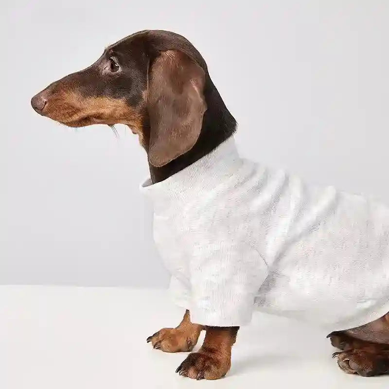 Maglia Tecnica per Cani - Leggera e Traspirante per Tutte le Stagioni by Dog Moda