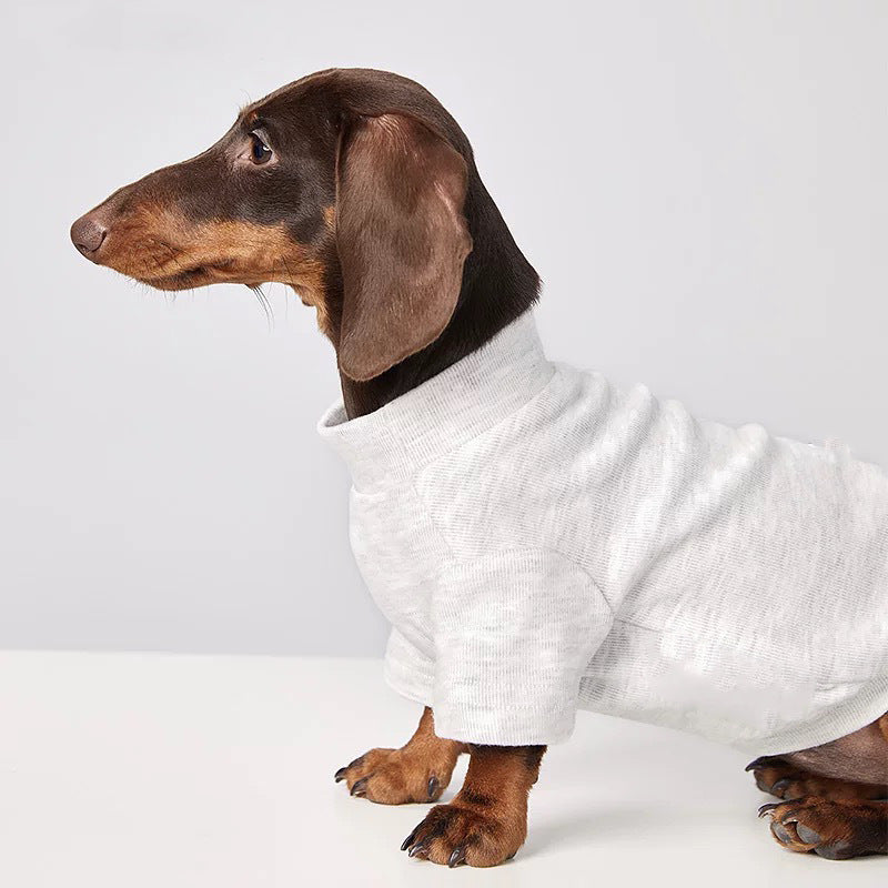 Maglia Tecnica per Cani - Leggera e Traspirante per Tutte le Stagioni