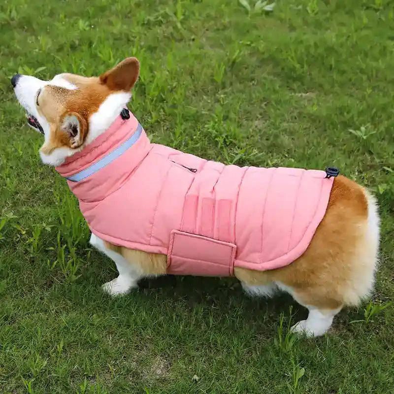 Abrigo impermeable para perros con velcro y detalles reflectantes