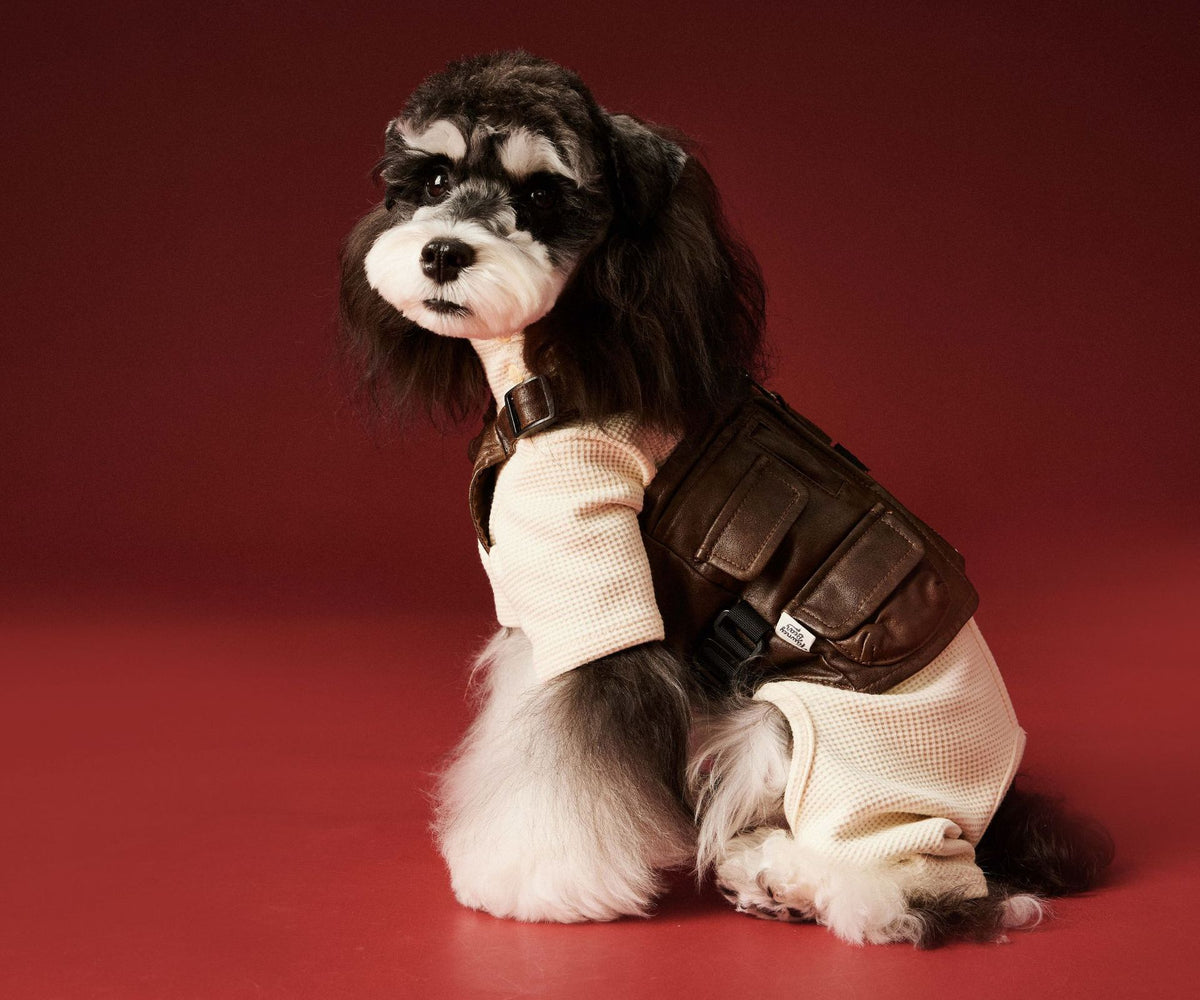 Tutina Cane 4 Zampe Tawney Bear - Pigiama Invernale by Dog Moda