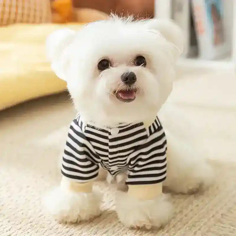 Maglia Righe Cani Couturier - Salopette Paperino by Dog Moda
