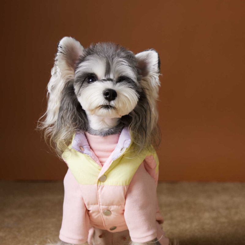 Cappotto Cane Imbottito Tawney Bear - Gilet Invernale