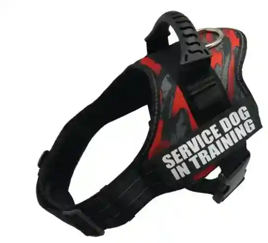 Pettorina Service Dog in Training - Maniglione Gomma by Dog Moda