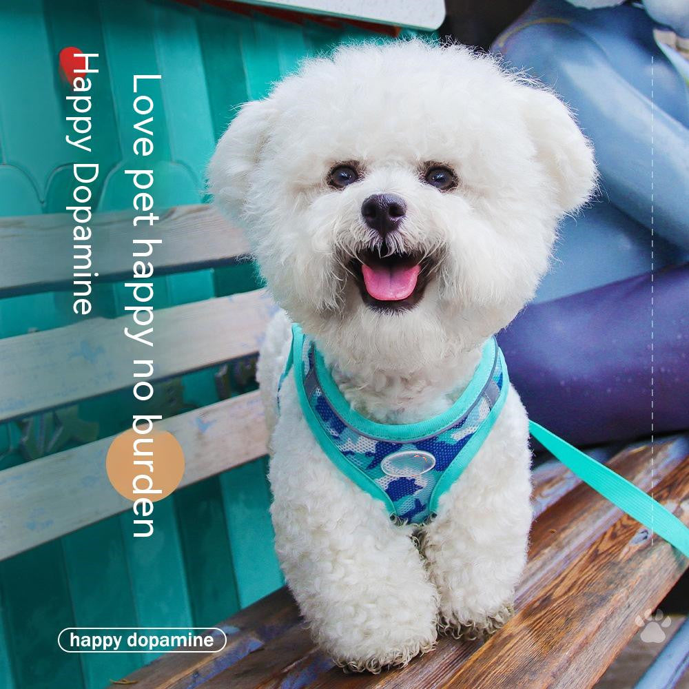 3-piece dog harness set "Dopamine"