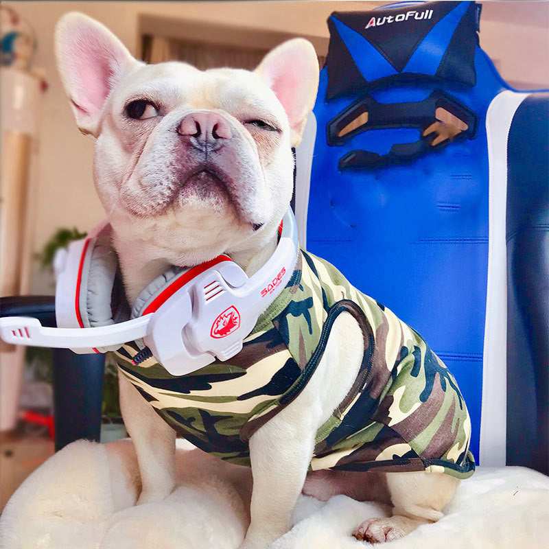 T-Shirt „Löwe“ für Hunde und Französische Bulldoggen