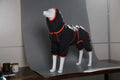 White dog mannequin wearing a black raincoat with orange trim on a wooden table in a studio setting