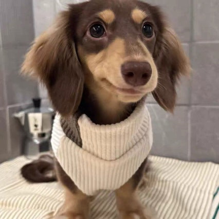 Hund- och katttröja i beige och brunt för höst och vinter